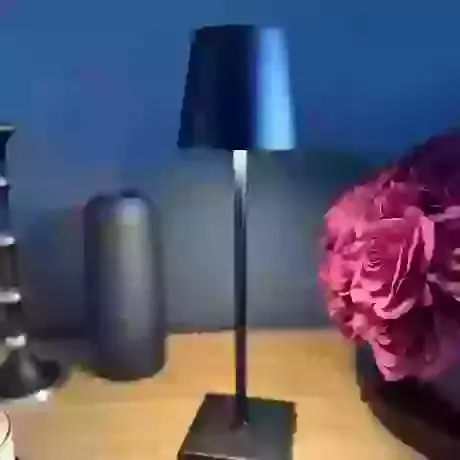 Harlow bee store table lamp